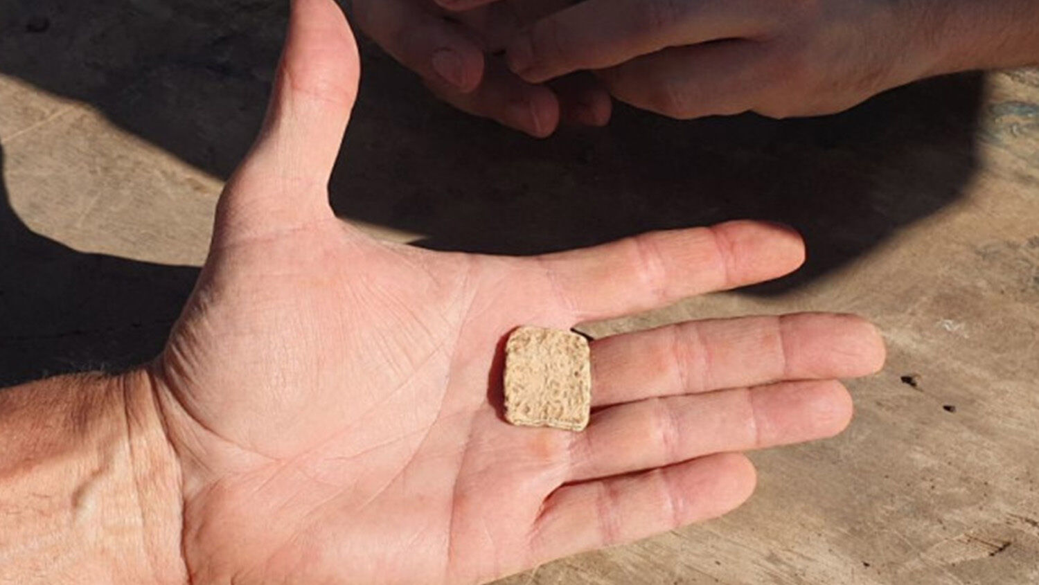 Ancient Hebrew Curse Tablet Discovered At Joshua s Altar On Mt Ebal 